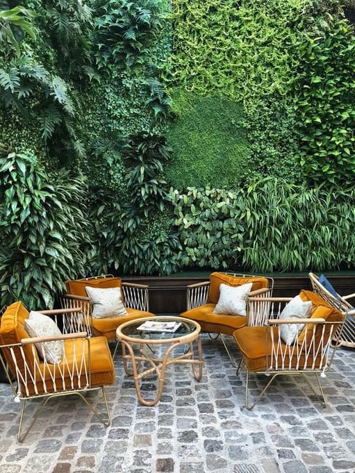brise-vue plantes pour jardin discret